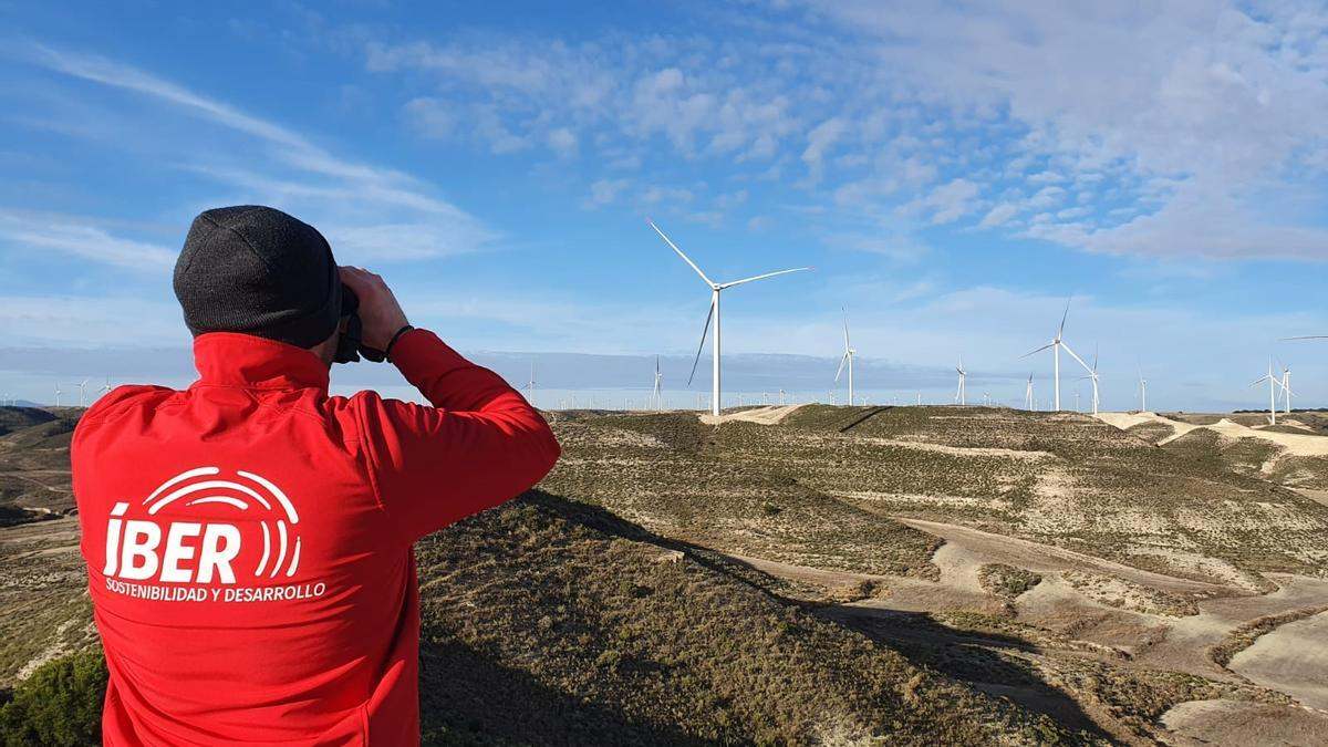 Ibersyd alcanza los 1000 proyectos en parques fotovoltaicos y 200.jpg