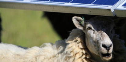 El Sol de abril produce en Espana mas electricidad que.jpg