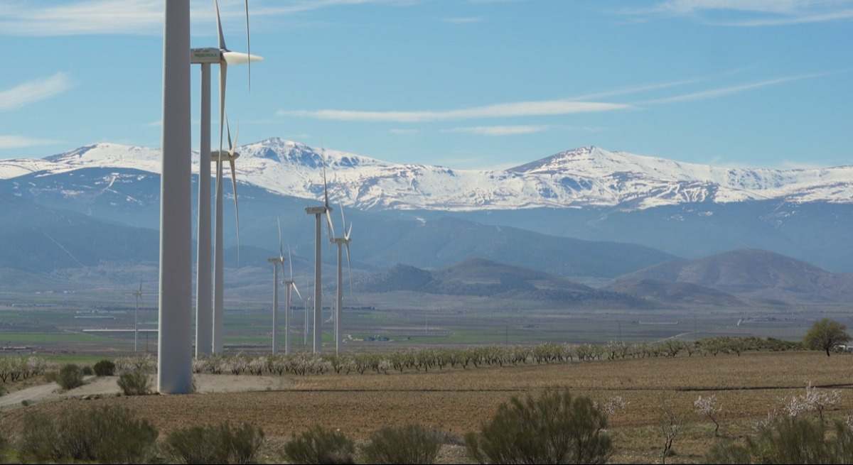 Iberdrola aumenta su impacto en Andalucía un 11%, cerca de 800 millones