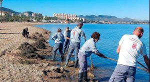 Navarra apuesta por soluciones innovadoras para limpiar el agua de.jpg