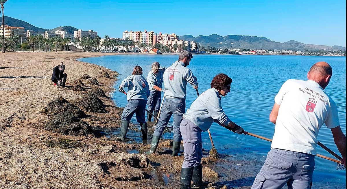 Navarra busca soluciones innovadoras para purificar aguas