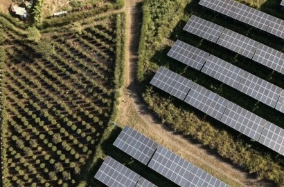 Portugal se sumerge en la agrovoltaica con FruitPV – ¡Descubre más!