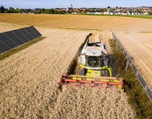 El conflicto entre agricultura y fotovoltaica no existe.jpg