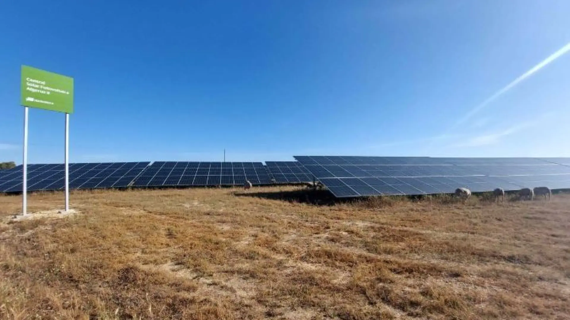 Suministro de energía solar a líder cerámico portugués por Iberdrola