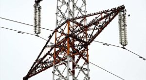 Estonia Letonia y Lituania completan su desconexion del sistema electrico.jpg